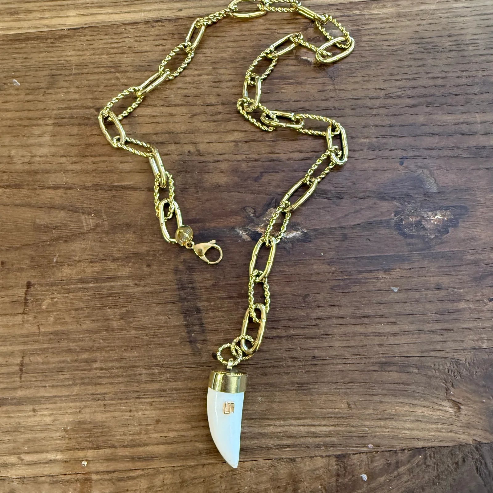 HORN WITH NECK CHAIN